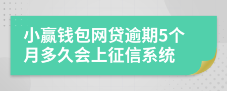 小赢钱包网贷逾期5个月多久会上征信系统