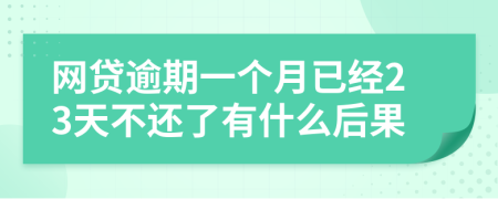 网贷逾期一个月已经23天不还了有什么后果