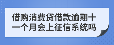 借购消费贷借款逾期十一个月会上征信系统吗