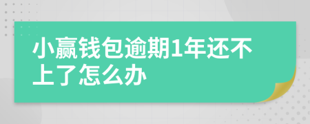 小赢钱包逾期1年还不上了怎么办