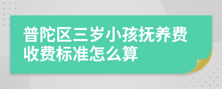 普陀区三岁小孩抚养费收费标准怎么算