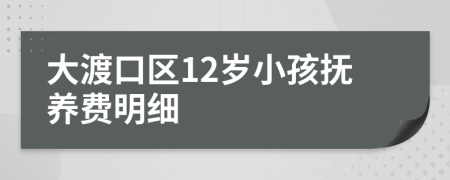 大渡口区12岁小孩抚养费明细