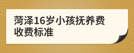 菏泽16岁小孩抚养费收费标准