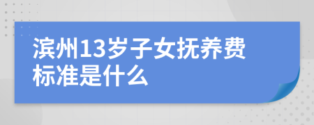 滨州13岁子女抚养费标准是什么