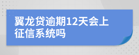 翼龙贷逾期12天会上征信系统吗