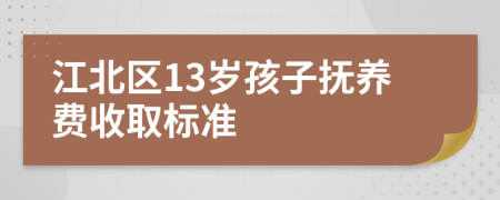 江北区13岁孩子抚养费收取标准