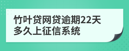 竹叶贷网贷逾期22天多久上征信系统