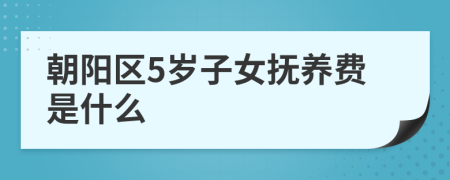 朝阳区5岁子女抚养费是什么