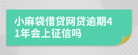 小麻袋借贷网贷逾期41年会上征信吗