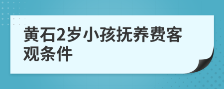 黄石2岁小孩抚养费客观条件