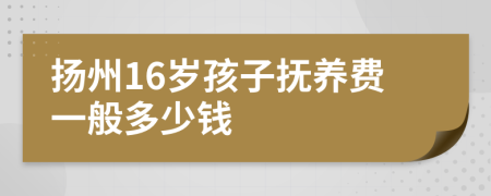 扬州16岁孩子抚养费一般多少钱