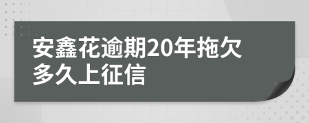 安鑫花逾期20年拖欠多久上征信