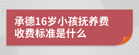 承德16岁小孩抚养费收费标准是什么