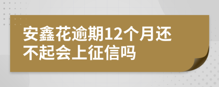 安鑫花逾期12个月还不起会上征信吗