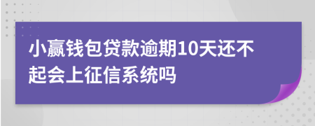 小赢钱包贷款逾期10天还不起会上征信系统吗