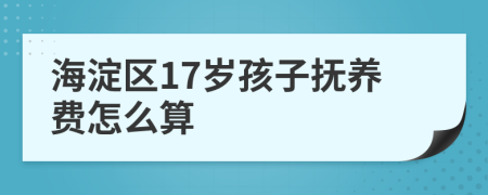 海淀区17岁孩子抚养费怎么算