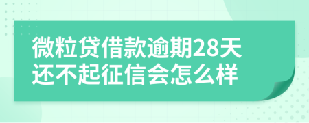 微粒贷借款逾期28天还不起征信会怎么样