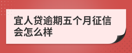 宜人贷逾期五个月征信会怎么样