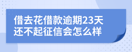 借去花借款逾期23天还不起征信会怎么样