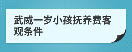 武威一岁小孩抚养费客观条件