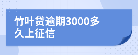 竹叶贷逾期3000多久上征信