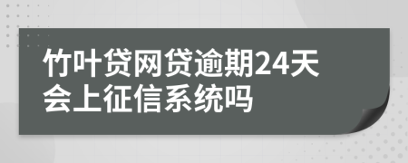 竹叶贷网贷逾期24天会上征信系统吗