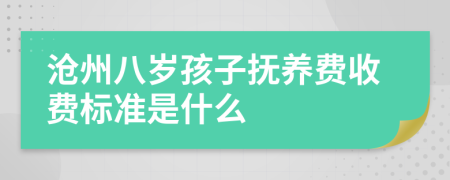 沧州八岁孩子抚养费收费标准是什么