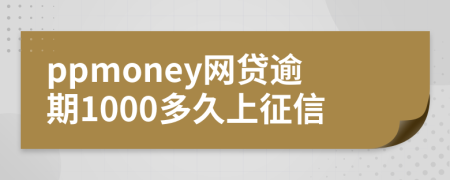 ppmoney网贷逾期1000多久上征信