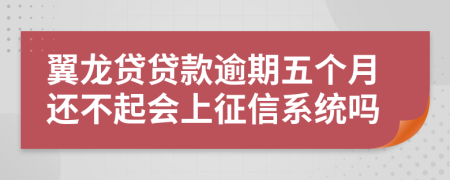 翼龙贷贷款逾期五个月还不起会上征信系统吗