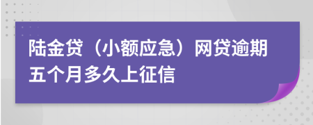 陆金贷（小额应急）网贷逾期五个月多久上征信