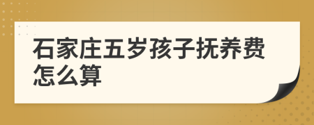 石家庄五岁孩子抚养费怎么算
