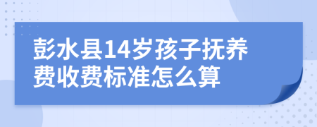 彭水县14岁孩子抚养费收费标准怎么算