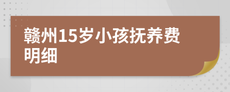 赣州15岁小孩抚养费明细