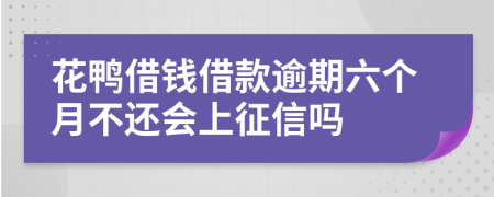 花鸭借钱借款逾期六个月不还会上征信吗