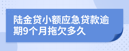 陆金贷小额应急贷款逾期9个月拖欠多久