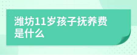 潍坊11岁孩子抚养费是什么