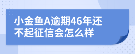 小金鱼A逾期46年还不起征信会怎么样