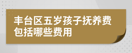 丰台区五岁孩子抚养费包括哪些费用