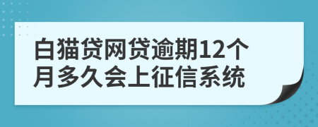 白猫贷网贷逾期12个月多久会上征信系统