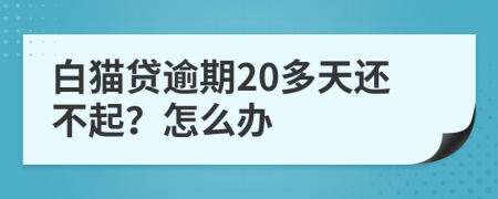 白猫贷逾期20多天还不起？怎么办