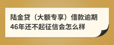 陆金贷（大额专享）借款逾期46年还不起征信会怎么样