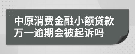 中原消费金融小额贷款万一逾期会被起诉吗