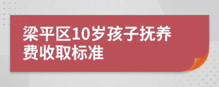 梁平区10岁孩子抚养费收取标准