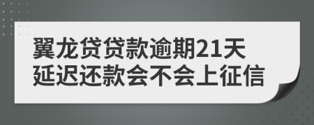 翼龙贷贷款逾期21天延迟还款会不会上征信