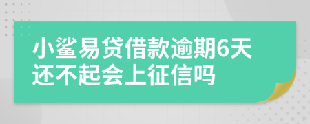 小鲨易贷借款逾期6天还不起会上征信吗