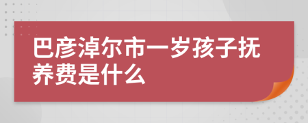 巴彦淖尔市一岁孩子抚养费是什么