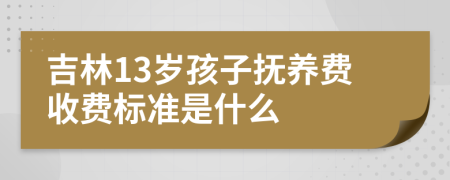 吉林13岁孩子抚养费收费标准是什么