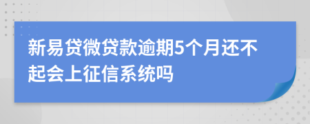 新易贷微贷款逾期5个月还不起会上征信系统吗