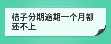 桔子分期逾期一个月都还不上