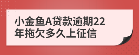 小金鱼A贷款逾期22年拖欠多久上征信